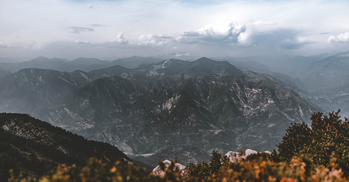 Dicas para aproveitar ao máximo sua descoberta dos vinhedos da Provença 🍇✨