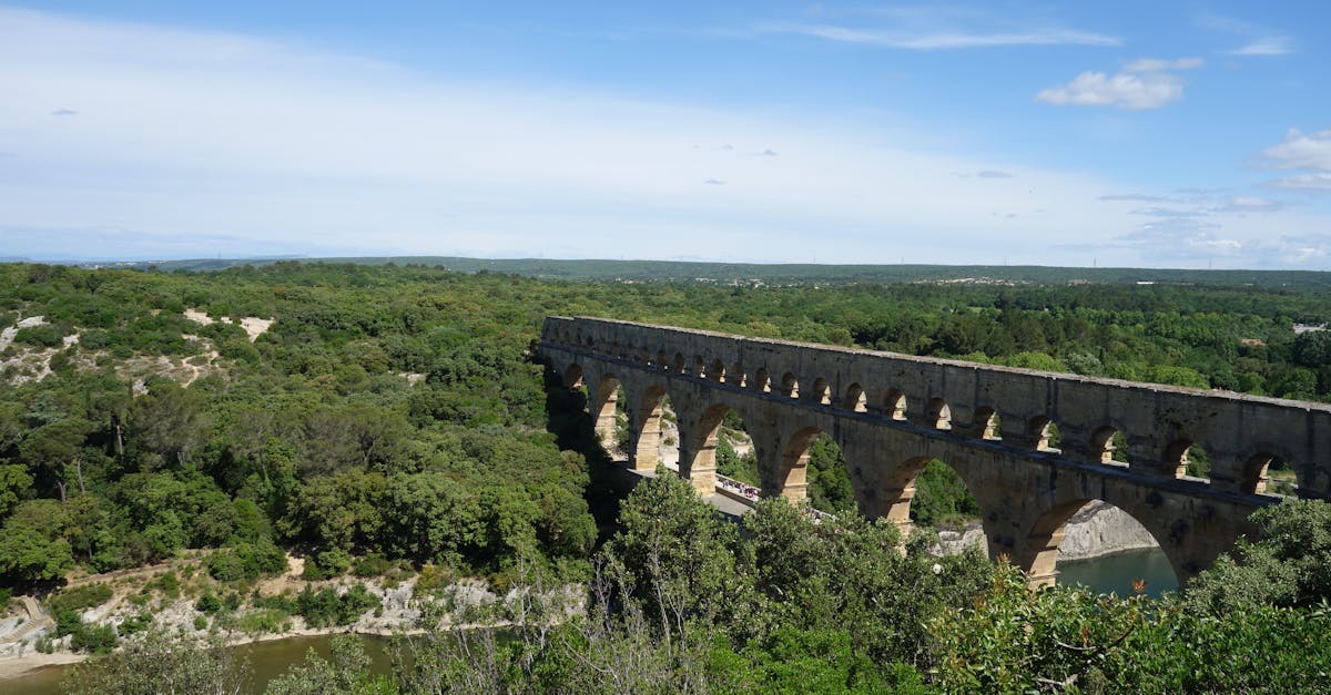 Provence'ın temel üzüm çeşitleri: doğru şarabı seçmenin anahtarları