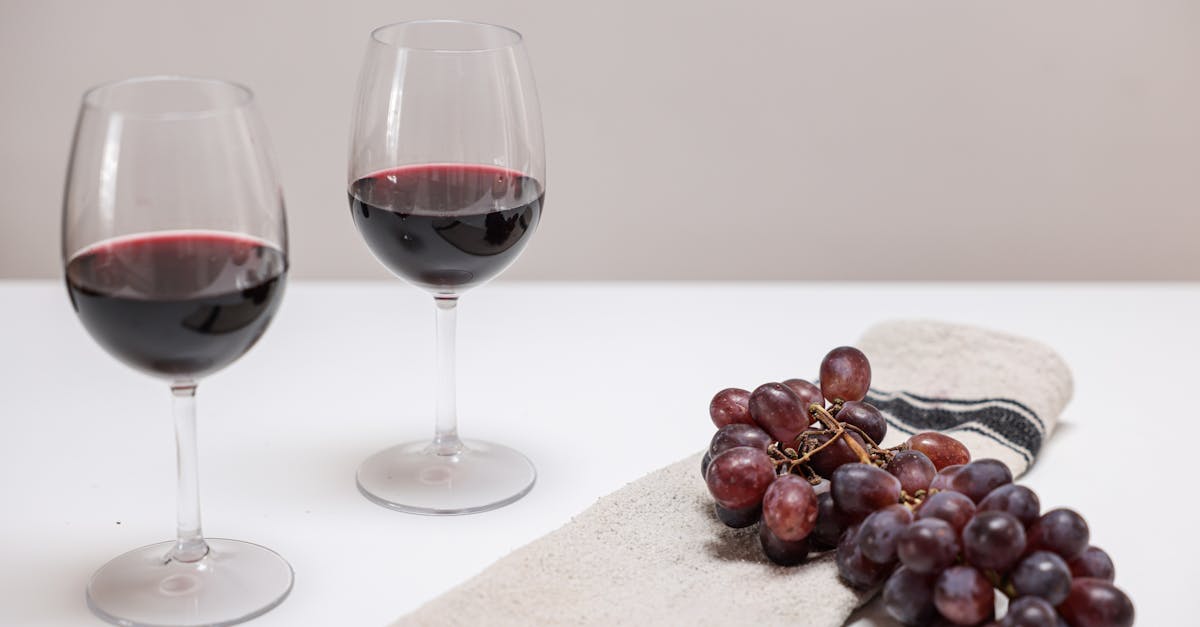 Vino recomendado 🍷