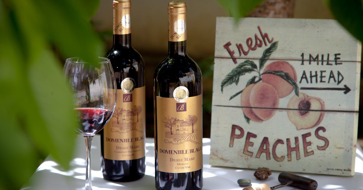 Ανακαλύψτε τον συναρπαστικό κόσμο του κόκκινου κρασιού, τα πλούσια αρώματά του και τις έντονες γεύσεις του. Μάθετε πώς να επιλέγετε, να δοκιμάζετε και να εκτιμάτε τις διαφορετικές ποικιλίες κόκκινου κρασιού, ιδανικές για να συνοδεύσετε τα αγαπημένα σας πιάτα ή για μια ευχάριστη στιγμή. Εξερευνήστε τις καλύτερες οινοπαραγωγικές περιοχές και ανακαλύψτε τα μυστικά ενός καλού μπουκαλιού.