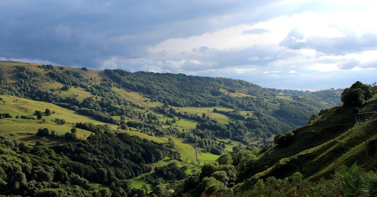 Para acertar con las compras o los descubrimientos, es mejor conocer las principales. Aquí tienes algunas de las denominaciones emblemáticas que definen por sí solas el estilo de los vinos del Ródano, con sus propias características únicas y variedades de uva estrella. Te lo contamos todo sin complicaciones.