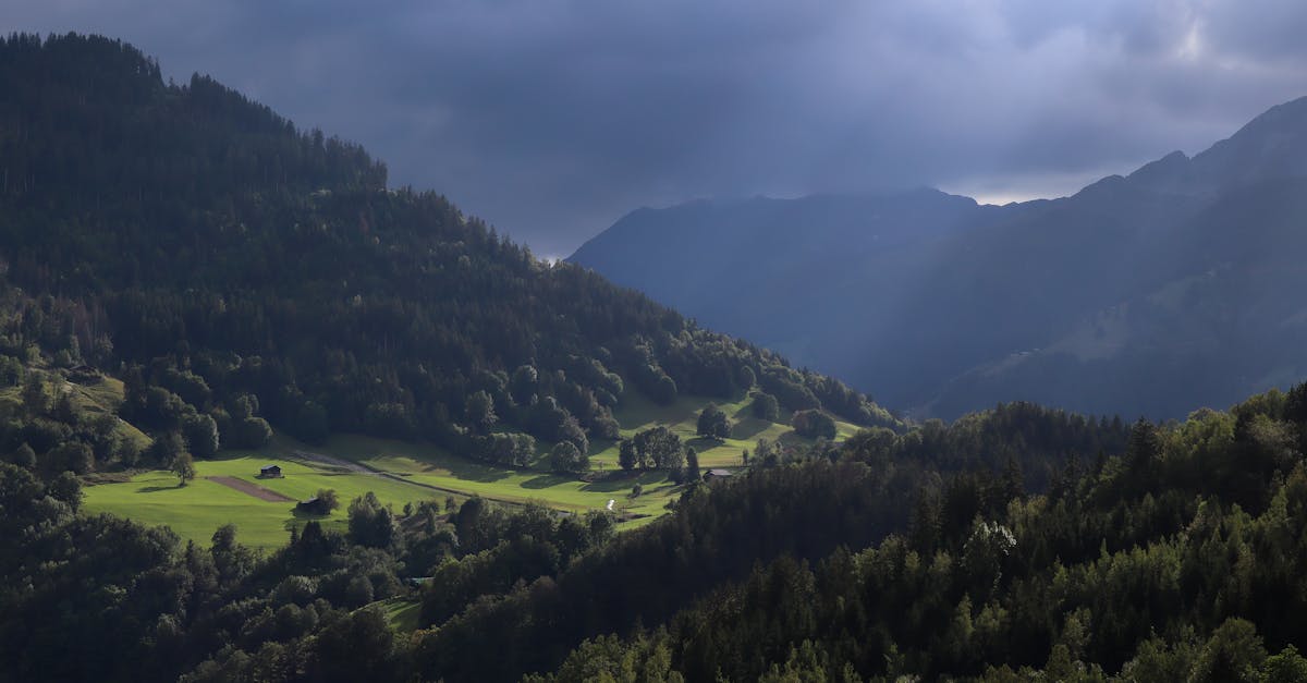 Så hvordan genkender man de bedste årgange, og hvor kan man finde dem med et kræsent øje? Hvilken rolle spiller sjældenhed i evalueringen af ​​disse exceptionelle vine? For at undgå at fare vild i denne fascinerende, men til tider komplekse verden, er her nogle solide tips til at hjælpe dig med at forfine dit udvalg og fuldt ud nyde, hvad Rhône-dalen har at byde på i 2025.