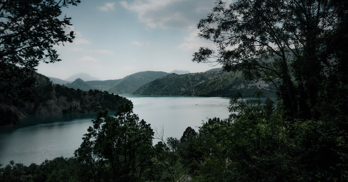 découvrez les vins exquis de la vallée du rhône, une région viticole emblématique de france. explorez une palette de cépages et de terroirs uniques qui offrent des arômes riches et des saveurs envoûtantes. idéals pour accompagner vos repas, ces vins reflètent l'authenticité et la passion des vignerons.