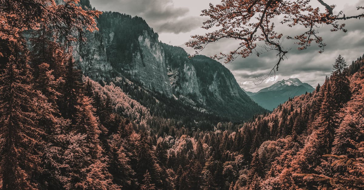 découvrez la vallée du rhône, une région viticole renommée en france, célèbre pour ses paysages pittoresques, ses charmants villages et ses excellents vins. explorez les rives du rhône, savourez la gastronomie locale et plongez dans l'histoire captivante de cette destination incontournable.