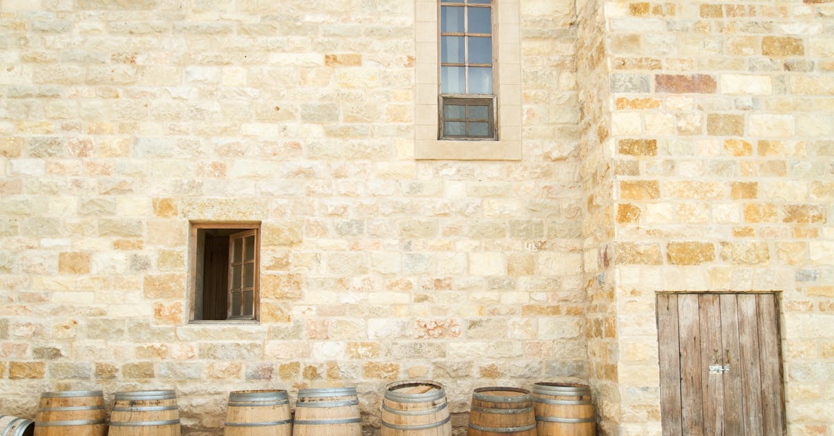 découvrez l'histoire fascinante des vins de la région rhône, des traditions séculaires aux cépages emblématiques qui ont façonné l'identité viticole de cette terre. plongez dans un univers riche en saveurs et en savoir-faire.