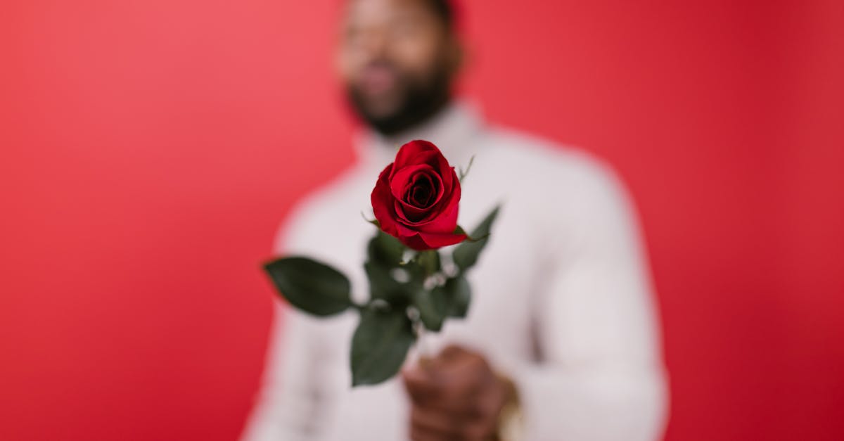 Ad esempio, troviamo rosé molto chiari, quasi trasparenti, di alcuni Domaines Ott o Gérard Bertrand, che enfatizzano l'estrema finezza. I colori rosa salmone, chiari e delicati, sono molto apprezzati per la loro eleganza e la capacità di rivelare aromi sottili. Ma esistono anche rosé più scuri e corposi, come il Cabernet d'Anjou (spesso semi-secco), il famoso Tavel, noto per la sua tonalità intensa, o persino il Clairet de Bordeaux, che vanta tonalità rosate più pronunciate pur mantenendo un certo equilibrio.