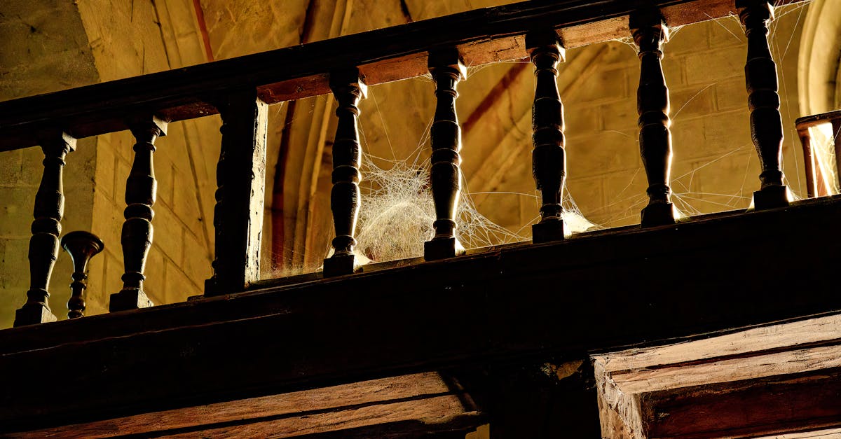 découvrez saumur, une charmante ville française nichée dans la vallée de la loire, célèbre pour ses châteaux historiques, ses vignobles réputés et son riche patrimoine. explorez ses ruelles médiévales, savourez ses vins et plongez dans l'histoire fascinante de cette destination incontournable.