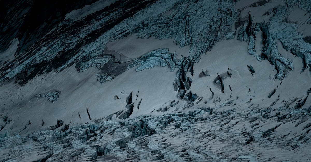 🧱 Suelo dominante