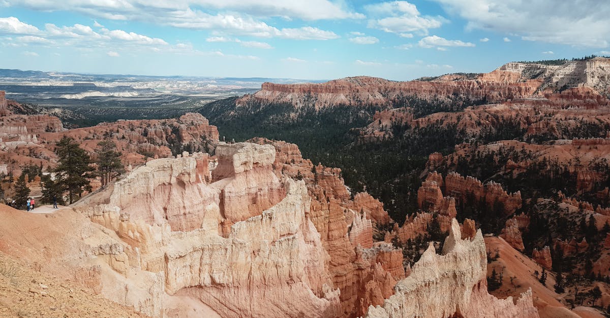 découvrez l'univers riche et savoureux du vin du sud-ouest de la france. explorez des cépages exceptionnels, des terroirs authentiques et des vignerons passionnés qui produisent des bouteilles uniques, alliant tradition et innovation. que vous soyez amateur ou expert, plongez dans la diversité des vins du sud-ouest.