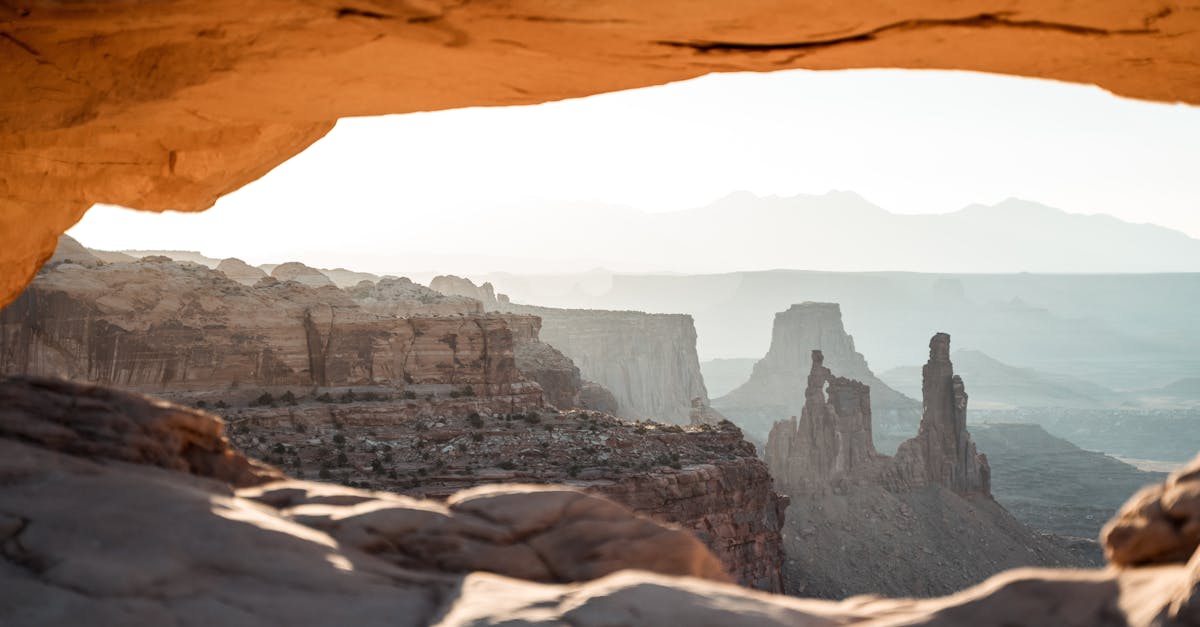 🎯 テイスティングアドバイス