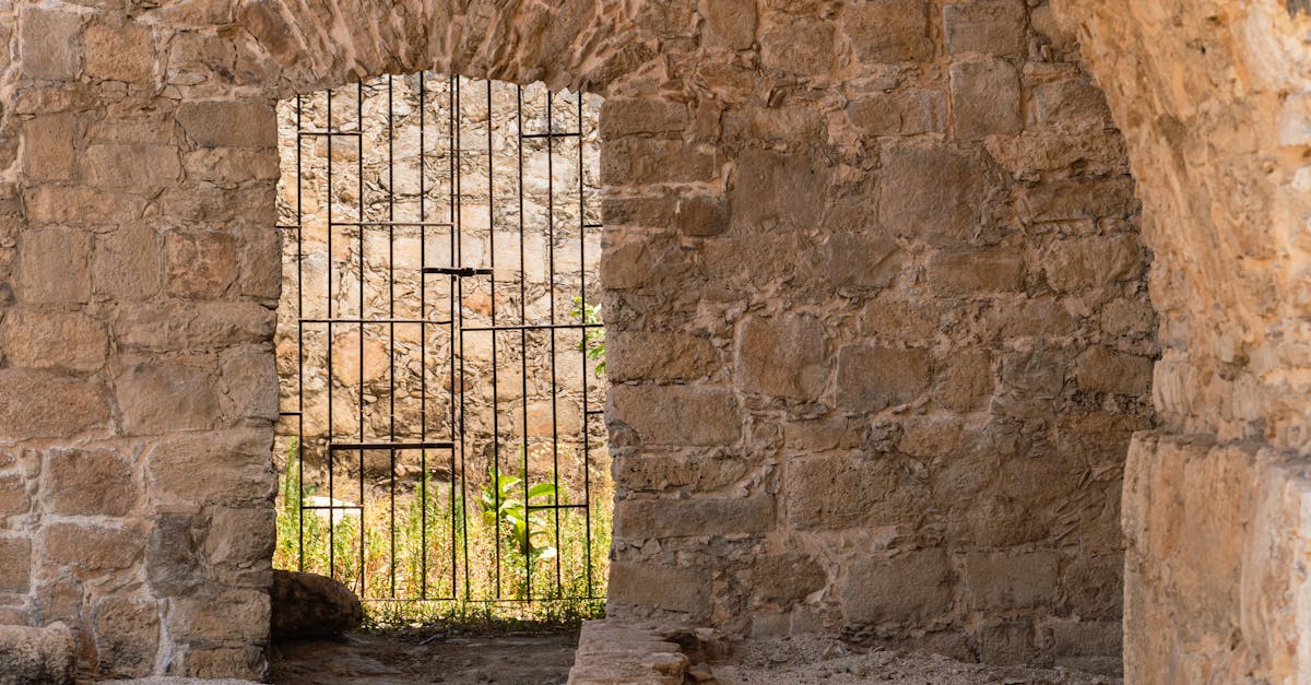 découvrez les vins du sud-ouest de la france, une région viticole riche en saveurs et en traditions. explorez des cépages uniques, des domaines renommés et des accords mets-vins envoûtants pour une expérience inoubliable.