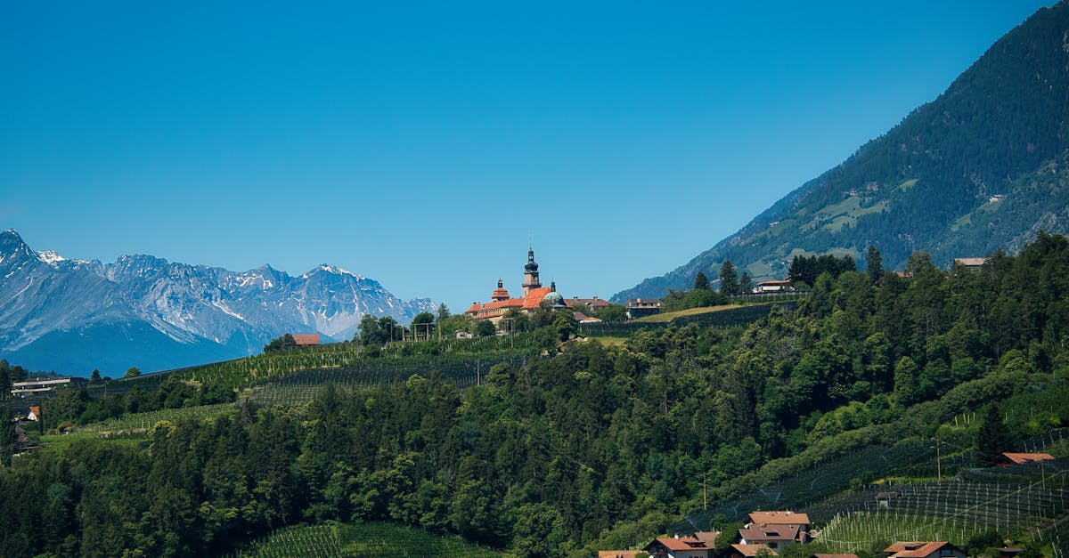 Ffrwydrad mewn cynhyrchu ac amrywiaeth o arddulliau