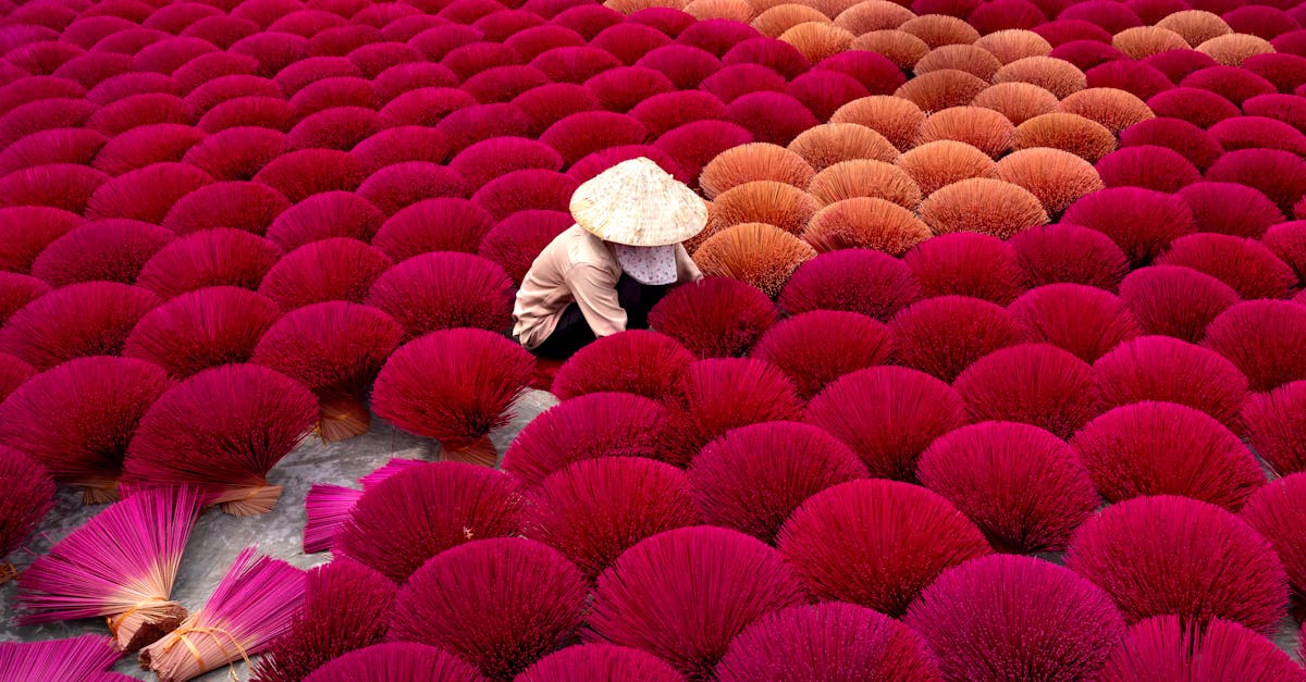 découvrez les charmes des villages pittoresques de france, avec leurs ruelles pavées, leurs maisons en pierre et leur atmosphère authentique. partez à la rencontre de la culture locale, des traditions artisanales et des paysages idylliques qui font la beauté de ces havres de paix.