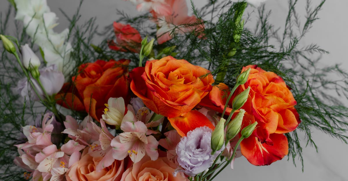 : Dinhi, ang mga puti nga bino dili kaayo komon, apan ang pula ug rosé nga mga bino nagdominar, nga adunay mga klase sa ubas sama sa Syrah ug Grenache.