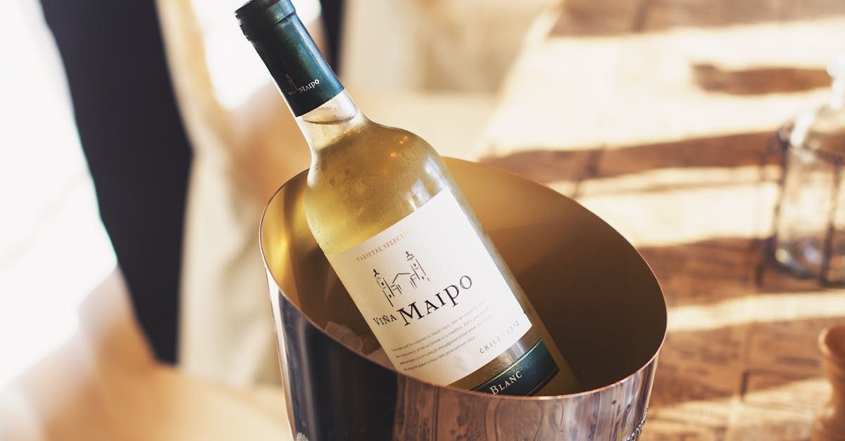 Descubra o mundo do vinho branco, uma bebida refinada e elegante, perfeita para acompanhar refeições ou para saborear sozinho. Explore as diferentes variedades, seus aromas distintos e as harmonizações de comida e vinho que irão enriquecer suas refeições.