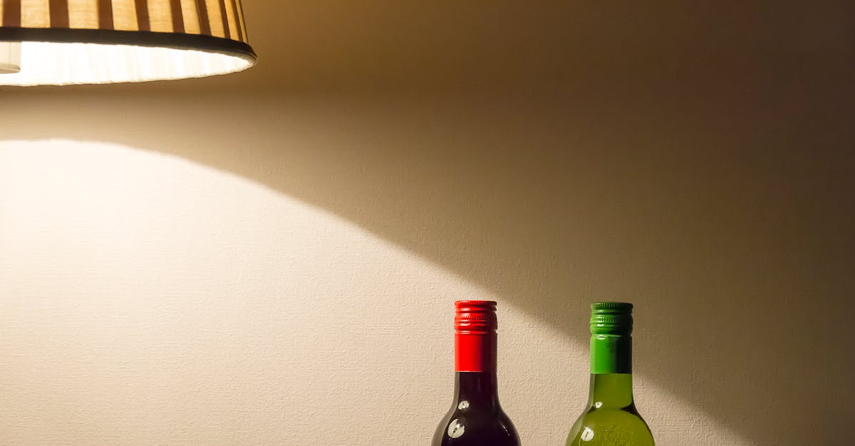 Objavte trendy a výhody konzumácie vína. Preskúmajte rôzne druhy vína, ich vplyv na zdravie a ideálne príležitosti na vychutnanie si vašich obľúbených ročníkov.