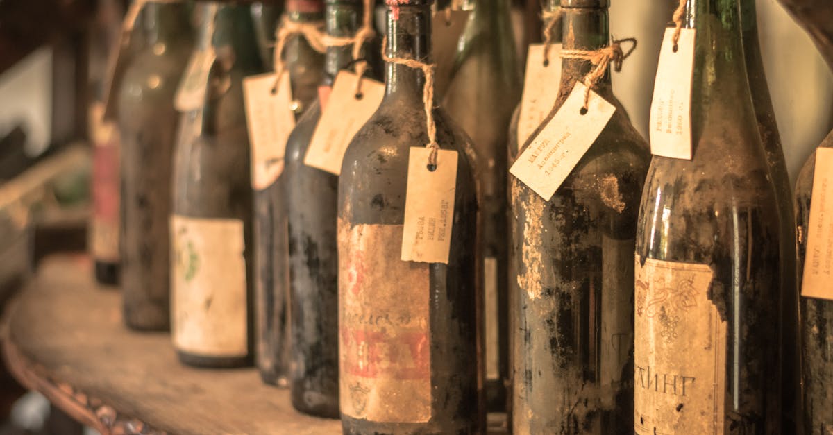 découvrez l'univers fascinant des étiquettes de vin, des œuvres d'art qui racontent l'origine, le cépage et l'histoire de chaque bouteille. apprenez à déchiffrer ces précieuses informations pour enrichir votre expérience vinicole.