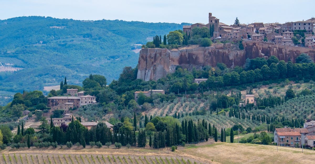 découvrez les régions viticoles emblématiques du monde, où tradition et terroir se rencontrent pour offrir des vins d'exception. explorez les cépages uniques, les techniques de vinification et les paysages magnifiques qui font la renommée de ces terroirs.