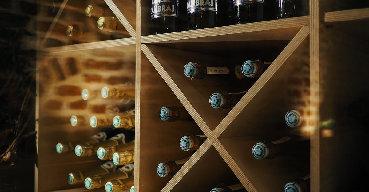 découvrez les meilleures solutions de stockage pour votre vin, garantissant une conservation optimale et préservant toutes les saveurs. explorez nos conseils sur les caves à vin, les conditions idéales et les astuces pour les collectionneurs passionnés.