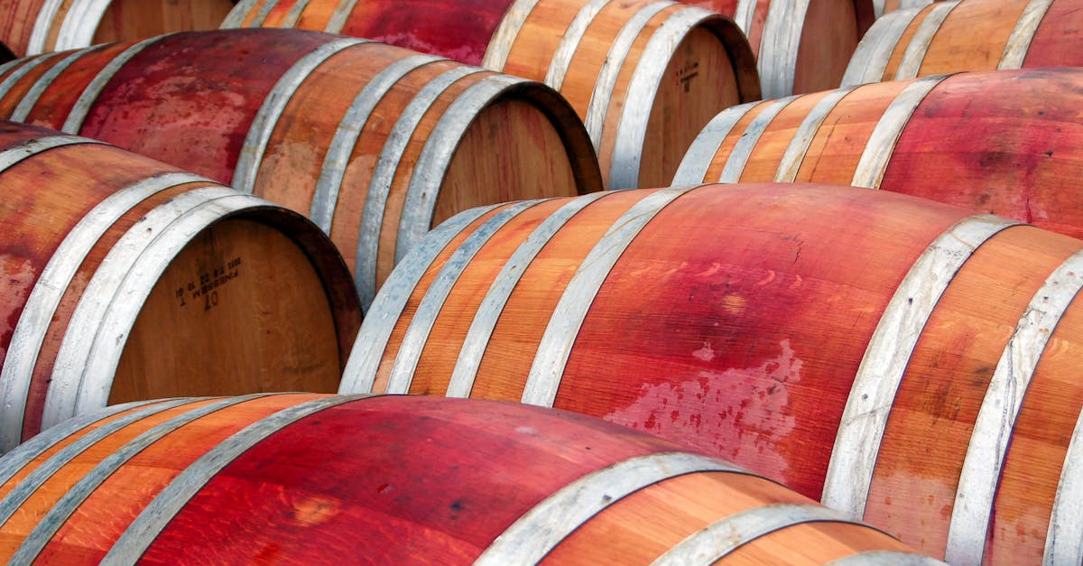 Darganfyddwch gelfyddyd gwneud gwin gyda'n harbenigwr gwinyddiaeth. Trochwch eich hun ym myd gwneuthurwyr gwin angerddol, dysgwch dechnegau cynhyrchu, ac archwiliwch y mathau gorau o rawnwin ar gyfer profiad gwin bythgofiadwy.