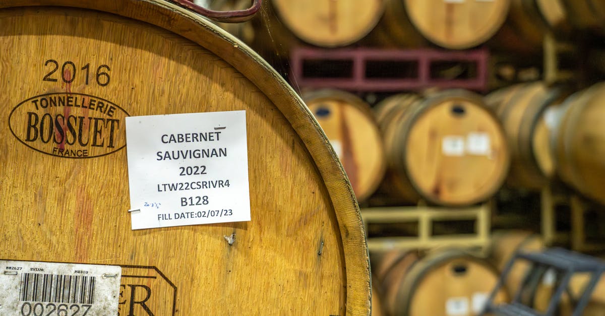 découvrez l'art et la passion du vigneron, un métier qui allie tradition et innovation pour créer des vins d'exception. apprenez les secrets de la vinification, des vendanges à la mise en bouteille, et plongez dans l'univers fascinant des cépages et des terroirs.