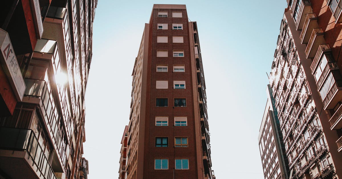 Güneşli plajları, zengin kültürel mirası ve lezzetli Akdeniz mutfağıyla tanınan muhteşem bir İspanyol kıyı kenti olan Alicante'yi keşfedin. Tipik sokaklarını keşfedin, Santa Barbara Kalesi'ni ziyaret edin ve pazarlarının ve gece hayatının canlı atmosferinin tadını çıkarın.