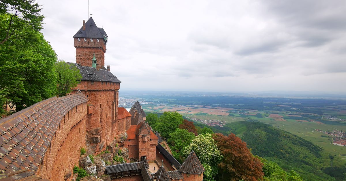 découvrez les vignobles de l'alsace, une région riche en traditions viticoles, où le paysage pittoresque se marie à des cépages uniques, offrant des vins d'exception. plongez dans l'univers des caves familiales, des dégustations authentiques et des balades au cœur des vignes.