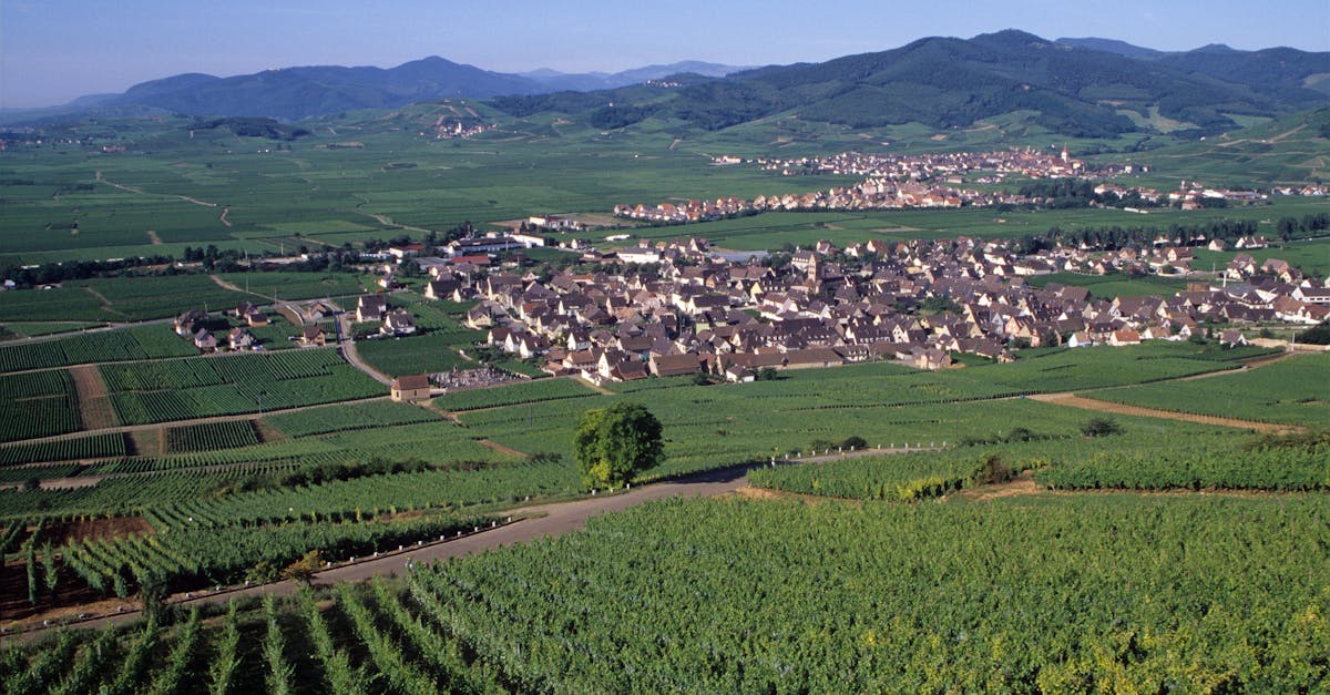 🍷 Kaysersberg: kombinácia vín a tradičná architektúra