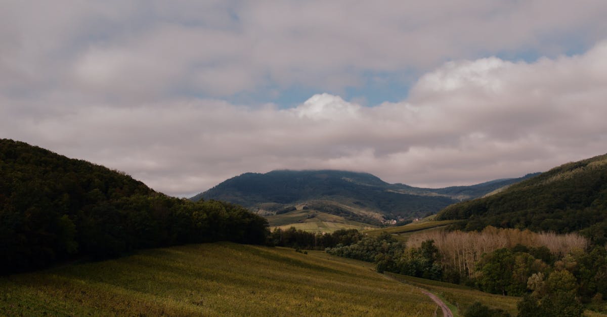 🍾 Komentované degustácie v pivniciach
