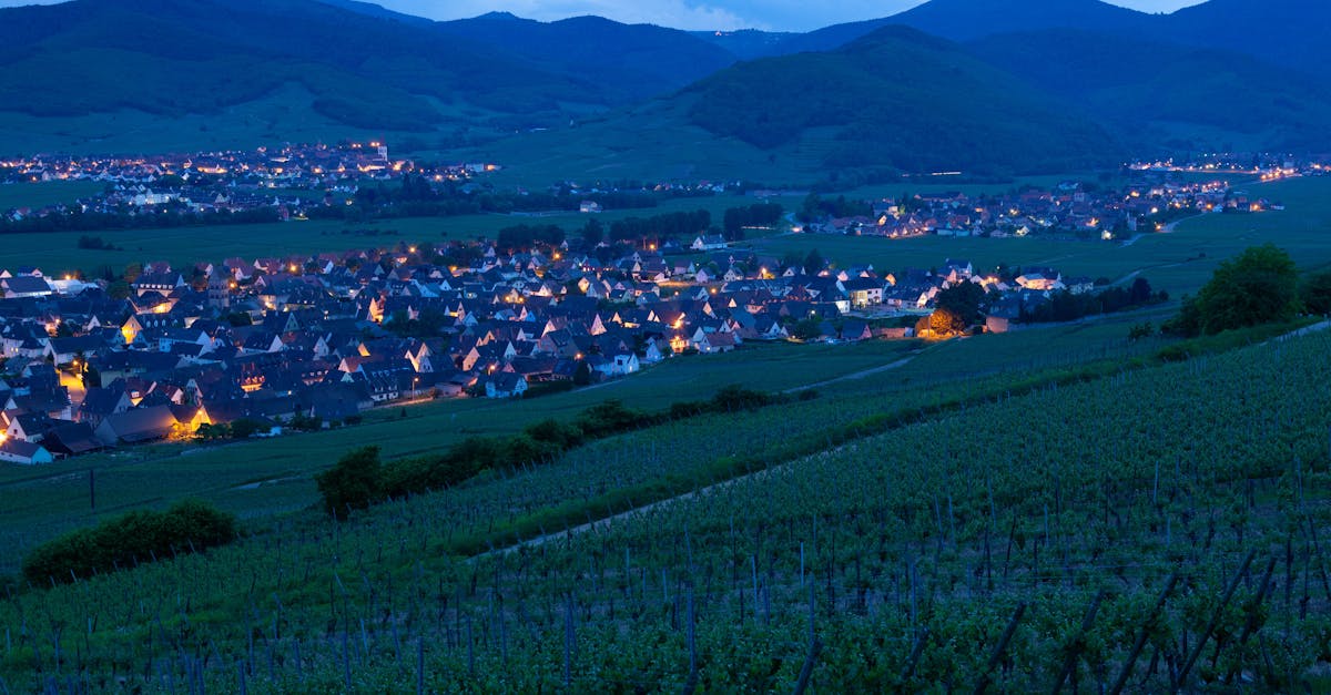 découvrez les paysages enchanteurs des vignobles d'alsace, où tradition et qualité s'unissent pour créer des vins d'exception. explorez les cépages locaux, dégustez des crus raffinés et plongez dans l'histoire viticole de cette région pittoresque.