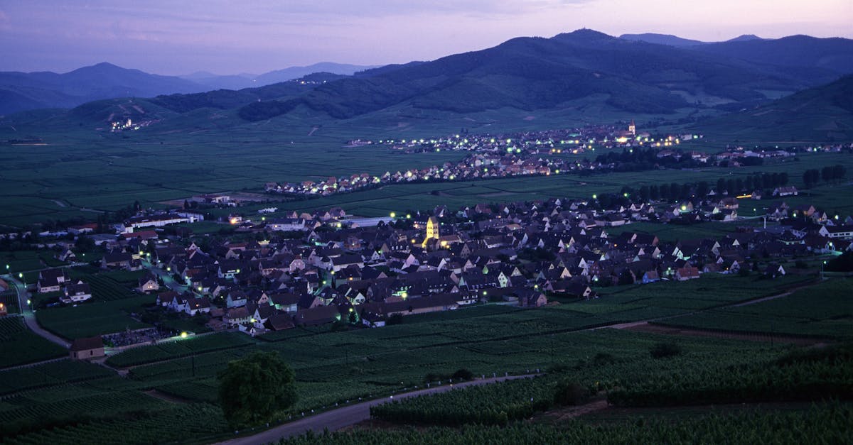 Descubre el fascinante mundo de los vinos de Alsacia, donde variedades de uva únicas y terruños excepcionales dan lugar a cosechas refinadas. Explora los sabores, aromas y tradiciones vitivinícolas de esta emblemática región de Francia. ¡Encuentra consejos para elegir tu vino alsaciano ideal!