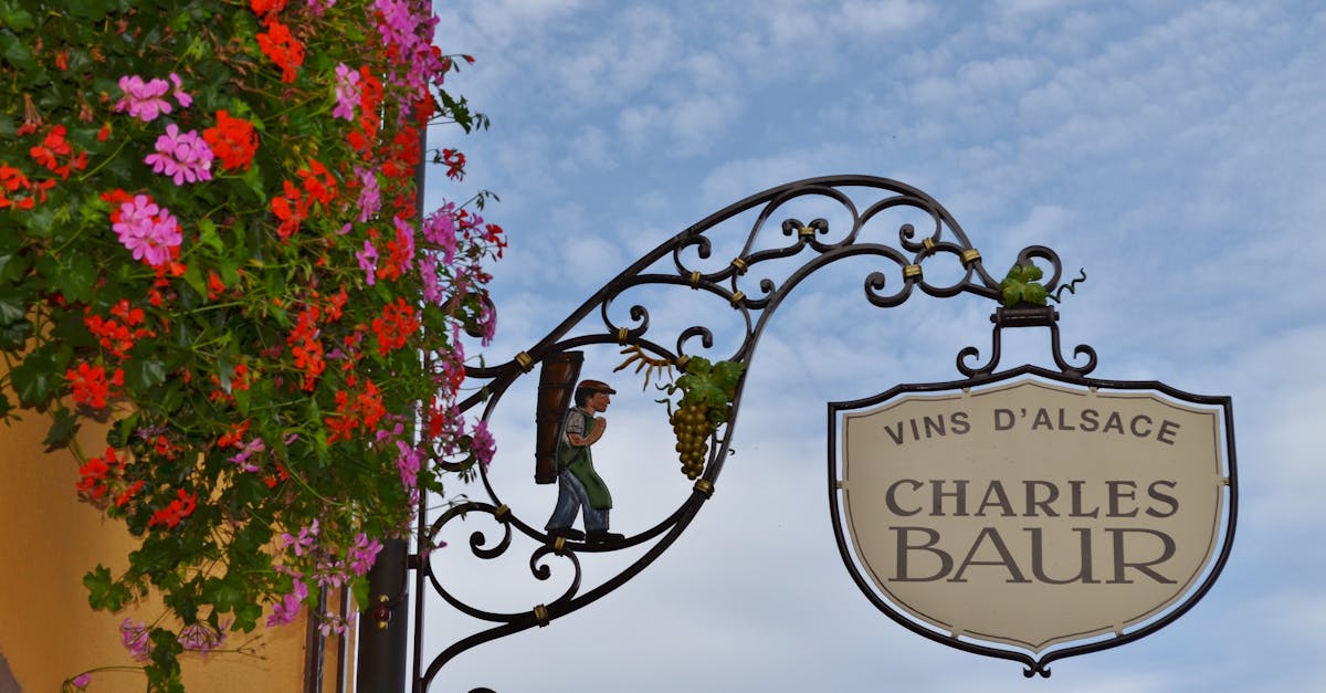 : Quienes venden estos néctares al público, en tiendas físicas o online.