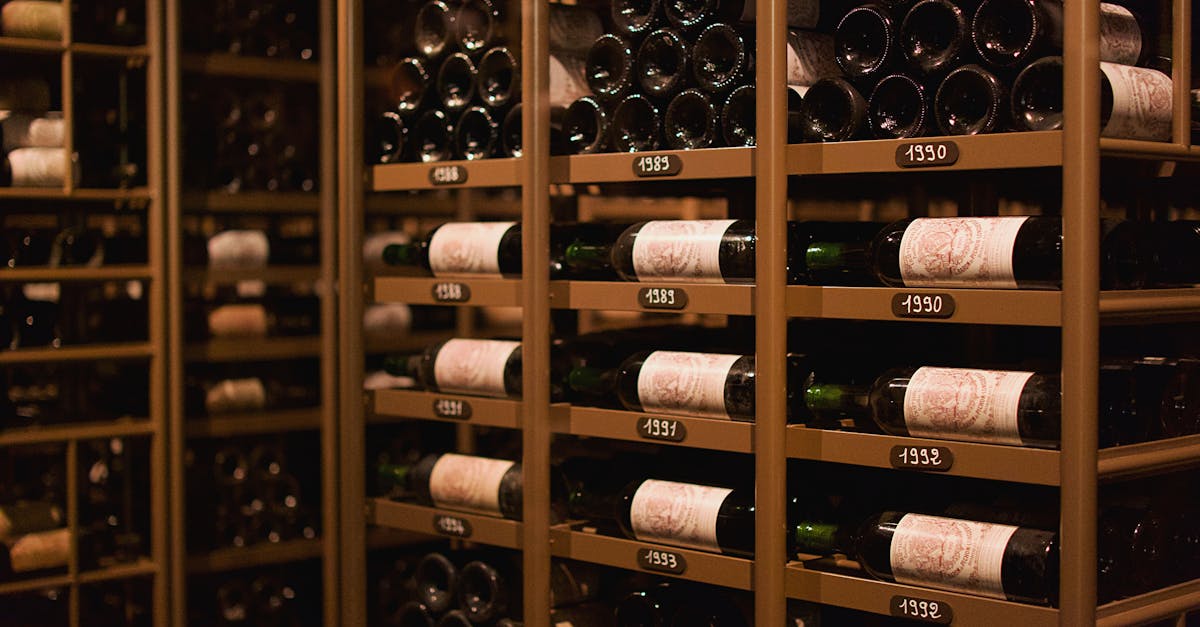 découvrez le monde fascinant des appellations, où chaque vin raconte une histoire unique. explorez les régions viticoles, les cépages emblématiques et les artisans passionnés derrière chaque bouteille. plongez dans l'univers des saveurs et des terroirs pour enrichir votre expérience oenologique.