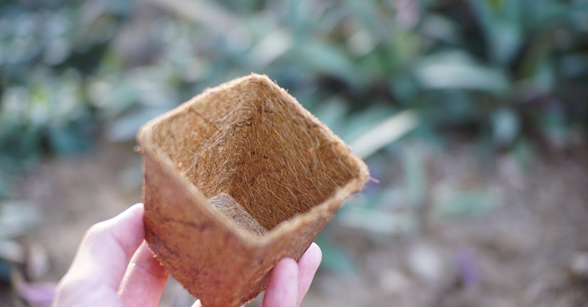 Bu biyodinamik kartı oynayan mülkler arasında, bu stili Şampanya'da başarıyla kuran tanınmış bir öncü olan
