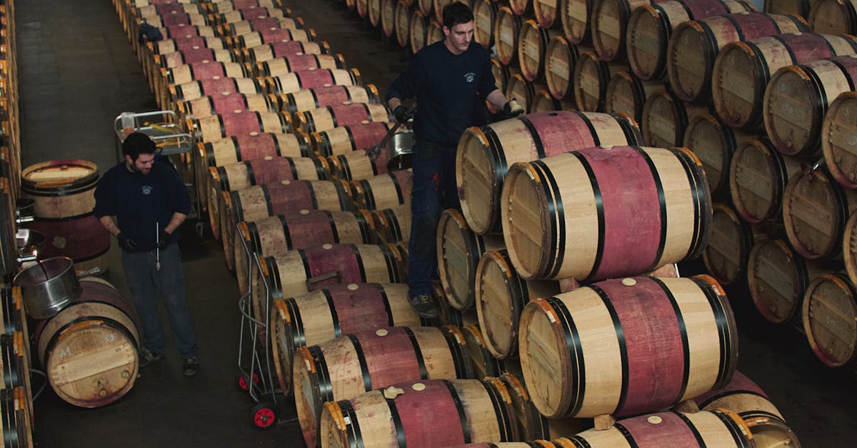 Entdecken Sie die Weinberge von Bordeaux, eine wahre Schatzkammer der Weine, die bezaubernde Landschaften, prestigeträchtige Rebsorten und unvergessliche Verkostungen bietet. Tauchen Sie ein in die Kunst des Weinbaus und entdecken Sie die Reichtümer dieser legendären Region.