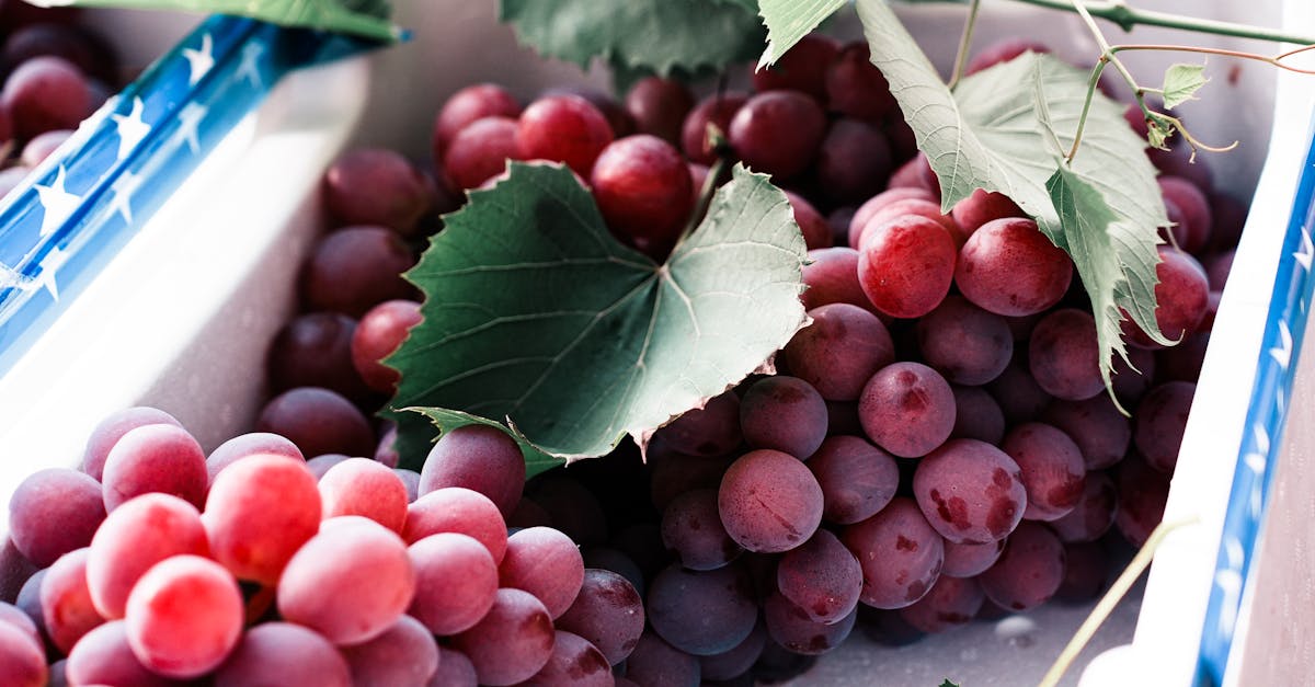 découvrez la position du marché du vin de bordeaux en 2025, ses tendances, ses défis et ses opportunités pour les investisseurs et les amateurs de vin. plongez dans une analyse complète des forces motrices et des évolutions qui façonnent l'avenir de ce célèbre vignoble.