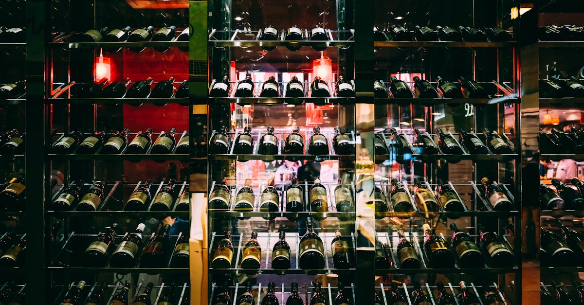 Entdecken Sie Bordeaux-Weine, ein wahres Sinnbild französischer Önologie. Entdecken Sie die einzigartigen Aromen, prestigeträchtigen Terroirs und Rebsorten, die diese Weinregion weltberühmt gemacht haben. Ob Laie oder Experte – tauchen Sie ein in die reiche und raffinierte Welt von Bordeaux. Entdecken Sie die Favoriten des Jahres 2025: Welche Weine sollten Sie auf dem gesamten Markt nicht verpassen?