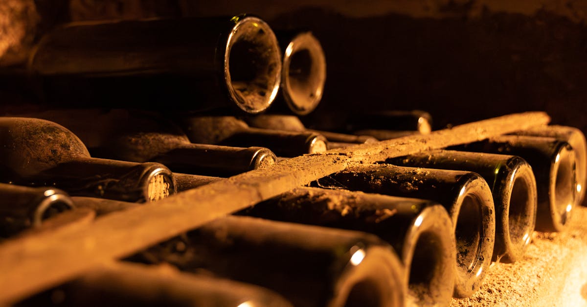 Eine erfolgreiche Strategie besteht darin, die Immobilien zu kennen, die heute das beste Verhältnis zwischen Preis und Typizität bieten. Château Pichon Longueville, Château d'Aiguilhe, Château Les Ormes de Pez sowie Château L'Avocat zeichneten sich durch ihre gute Alterungsfähigkeit und ihre starke Identität aus. Besonders attraktiv wird ihr Angebot im aktuellen Kontext, in dem sinkende Preise den Zugang zu Referenzjahrgängen zu geringeren Kosten ermöglichen.