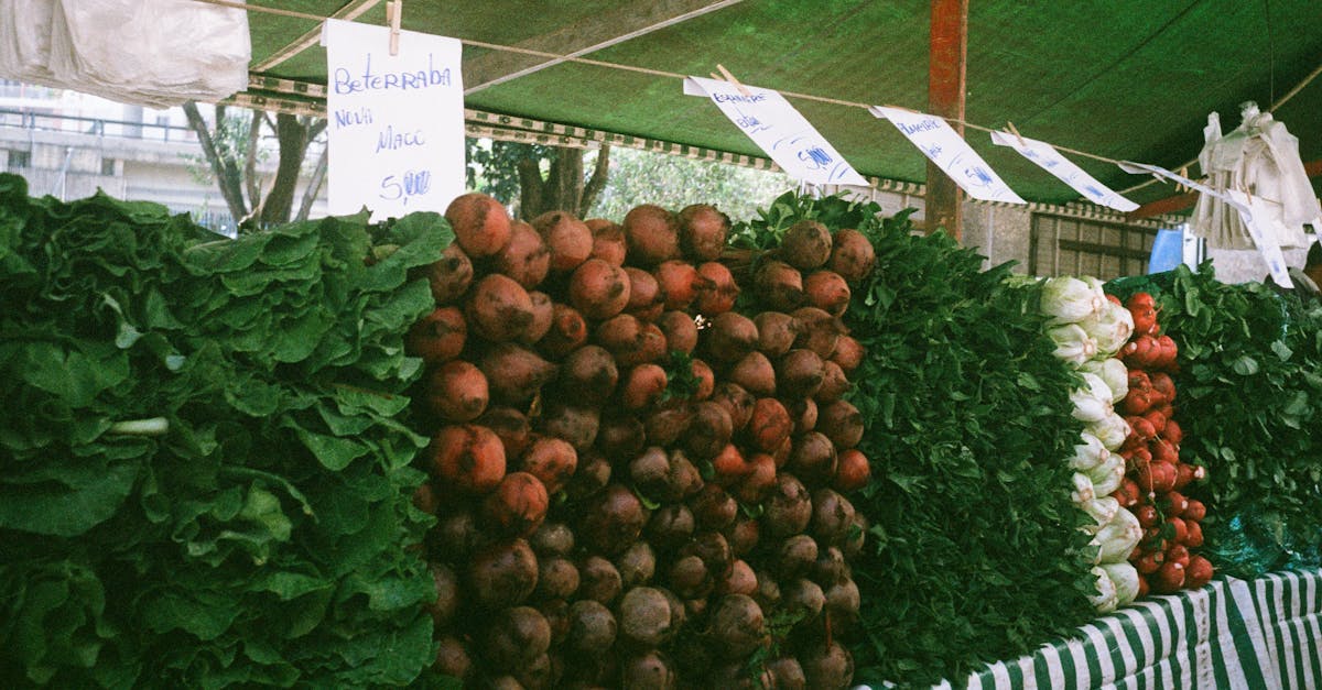 Ανακαλύψτε την αγορά της Βραζιλίας, έναν δυναμικό τόπο πλούσιο σε ευκαιρίες. Εξερευνήστε τις επιχειρηματικές τάσεις, τα τοπικά προϊόντα και τις βέλτιστες πρακτικές για την επιτυχία σε αυτήν την αναπτυσσόμενη αγορά.