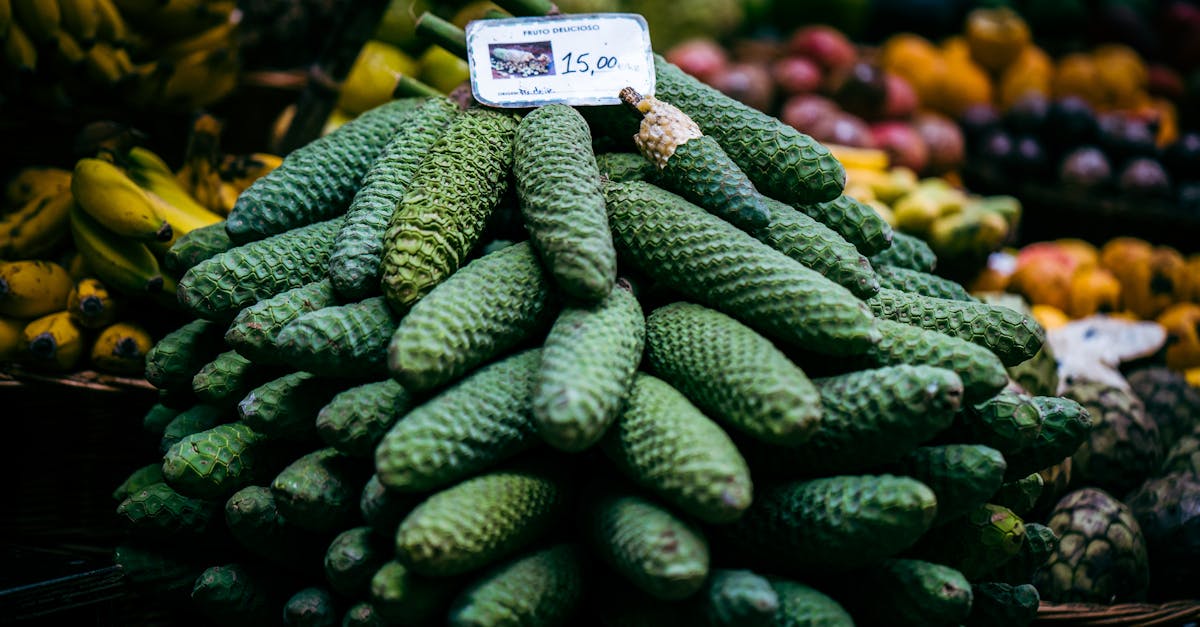 découvrez le marché brésilien : un panorama des opportunités économiques, des tendances émergentes et des secteurs en plein essor. plongez dans la culture locale et les innovations qui font de ce pays une référence en matière de commerce en amérique du sud.