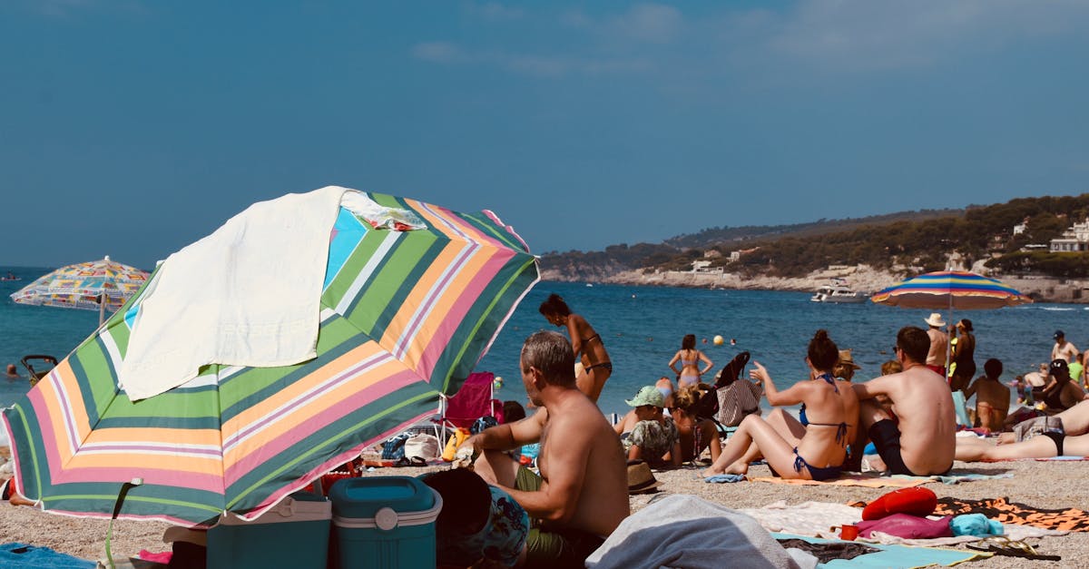 Pagdiskobre sa blackcurrant, kining gamay nga itom nga prutas nga puno sa mga lami ug benepisyo. Susihon ang daghang gamit niini sa pagluto, ang mga kabtangan nga antioxidant niini, ug kung giunsa kini makapauswag sa imong mga resipe sa dessert, jam, ug ilimnon.