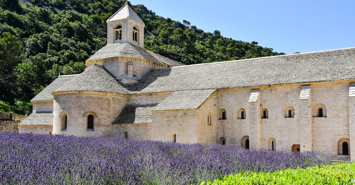 Sa konteksto sa pagpakusog sa globalisasyon ug kompetisyon, ang pagpasiugda sa mga alak sa Cassis lapas sa Provençal sphere nahimong kinahanglanon. Ang Domaine Bodin kinahanglan nga mag-juggle sa lainlaing mga gilauman: pagdani sa mga lokal nga kustomer, pagtagbaw sa mga mahiligon sa bino, ug pagbuntog sa merkado sa Paris sa partikular. Ang panan-aw usa ka hinungdanon nga isyu, labi na kung itandi sa ubang mga yuta sa rehiyon sama sa Château de Puy, Domaine de la Cadenière, Domaine de la Nube, ug Cave de Cassis. Ang estratehiya sa komunikasyon, imahe sa tatak, ug pag-apod-apod adunay hinungdanon nga papel. Ang Domaine Bodin nagsalig usab sa pag-apil sa mga trade fair ug mga kompetisyon, sama sa bag-o lang gihatagan ug bulawan nga medalya, aron mapalig-on ang pagkalehitimo niini. Ang pag-diversify sa range niini, ilabina sa mga sparkling wine, makatabang sa pagdani sa lain-laing audience nga nangita sa pagkakomplikado sa uga nga puti nga bino ug sa kahayag sa sparkling rosé. Ang hagit naa usab sa pagpahiangay sa modernong mga lami samtang gipadayon kini nga maampingon nga giugmad nga pagkakasaligan. Uban sa tabang sa digital nga teknolohiya, ilabi na ang pagpalambo sa usa ka online nga tindahan (https://www.vins-cassis-bodin.fr/), ang yuta makaabot sa mas lapad nga mga kliyente, ilabina sa Paris. Ang pag-ugmad og imahe isip usa ka eco-responsable nga winemaker usa usab ka prayoridad, aron makasulod sa usa ka merkado nga mas sensitibo sa pagpadayon ug kalidad nga mga lokal nga produkto.