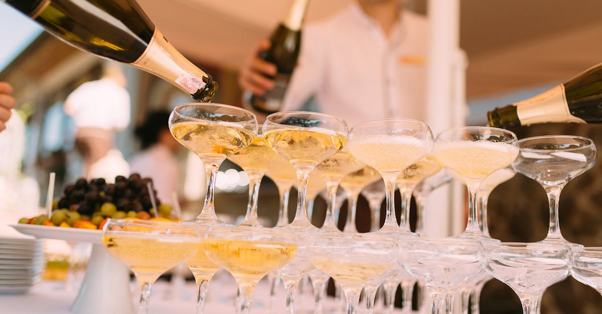 découvrez l'univers raffiné du champagne, symbole d'élégance et de célébration. explorez les différentes variétés, des champagnes brut aux millésimés, et apprenez à apprécier les arômes et les saveurs uniques de cette boisson effervescente. que ce soit pour un événement spécial ou un moment de détente, le champagne est l'accord parfait pour toutes les occasions.