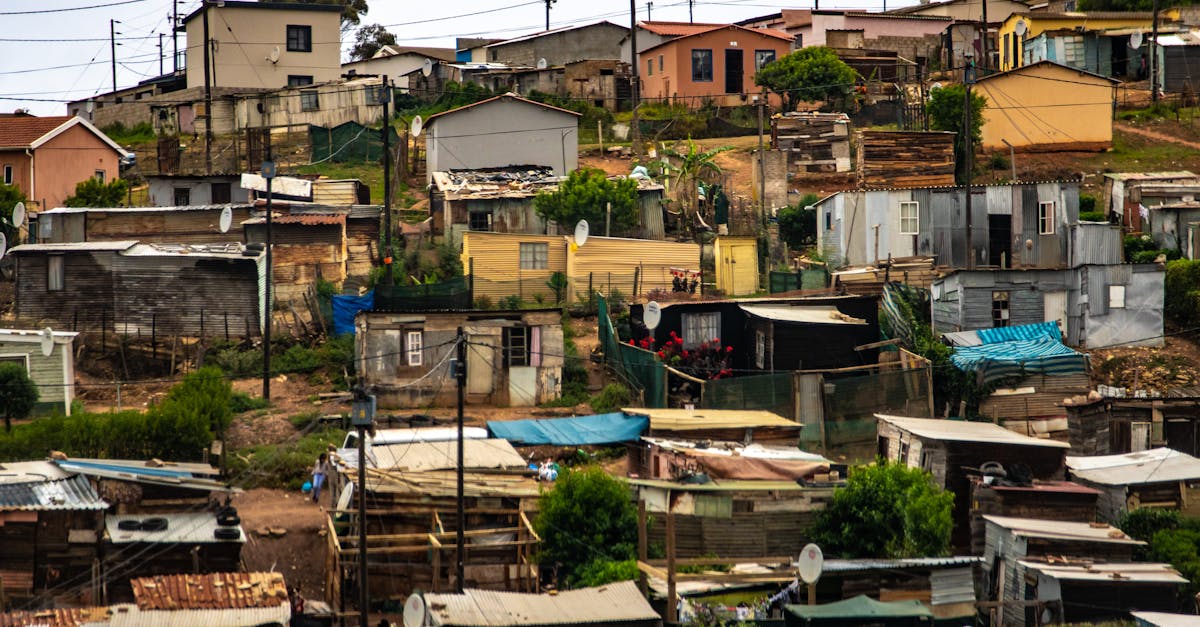 📈 Moderates Wachstum bei Unternehmensgründungen