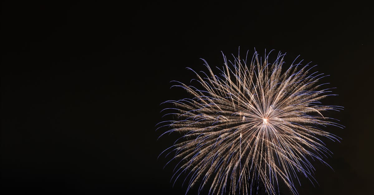 Scopri le migliori idee per organizzare una festa indimenticabile, che si tratti di un compleanno, un matrimonio o qualsiasi altra ricorrenza. Trova consigli su decorazioni, attività e ricette per deliziare i tuoi ospiti.