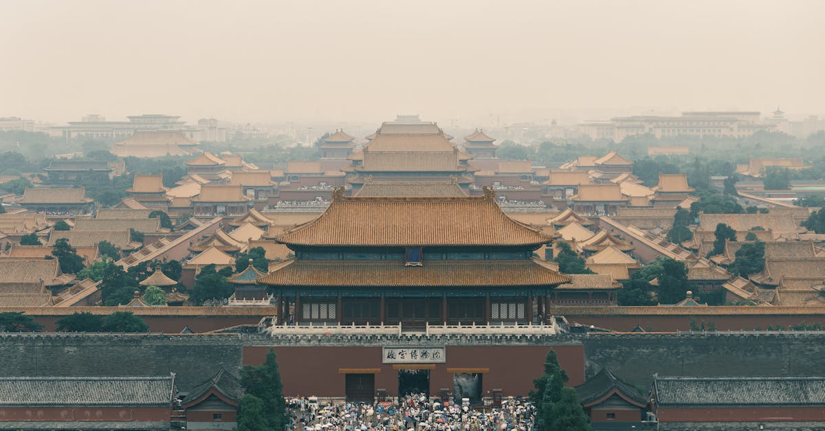 Duck breast with herbs and seasonal vegetables 🦆