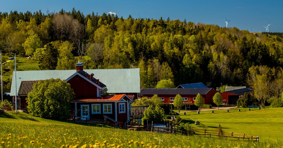 与此同时,对于那些想要在家也能拥有完美品酒体验的人来说,不妨参考我们2025年品酒指南中的技巧。其实并不复杂,只需几个简单的步骤,就能确保每一杯都成为真正愉悦的瞬间。