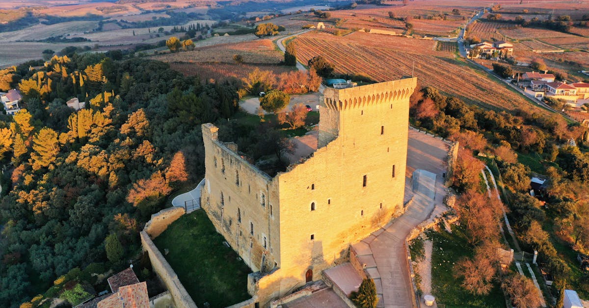 découvrez les tendances et prévisions des prix des vins de provence pour 2025. restez informé sur les coûts et les excellentes options qui s'offrent à vous dans cette région viticole renommée.