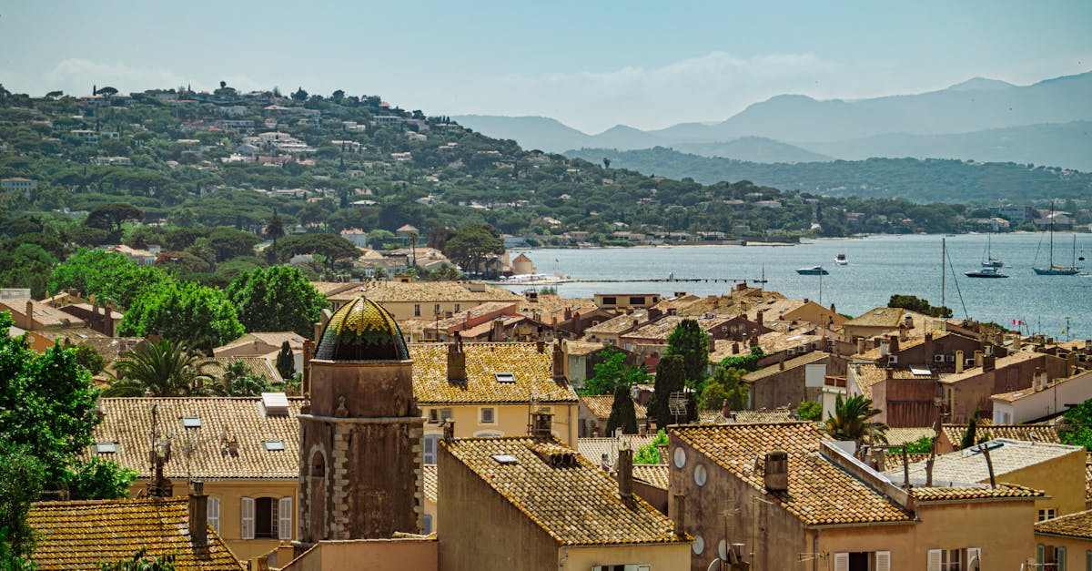🌡️ Aðlögun þrúguafbrigða með rannsóknum og prófunum á þolnum afbrigðum.
