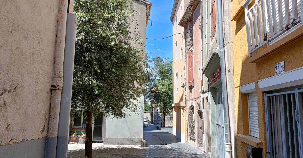 Provence-vín miða á markaði eins og Norður-Ameríku, Asíu og Norður-Evrópu, þar sem neytendur eru tilbúnir að borga fyrir gæði og vottunina „Made in Provence“. En eins og með allar lúxusvörur eða hálf-lúxusvörur, þá hefur útflutningur í för með sér aukakostnað: flutningakostnað, geymslu, staðbundna markaðssetningu, skatta og stundum reglugerðarhömlur, eins og þær sem eru tilgreindar á